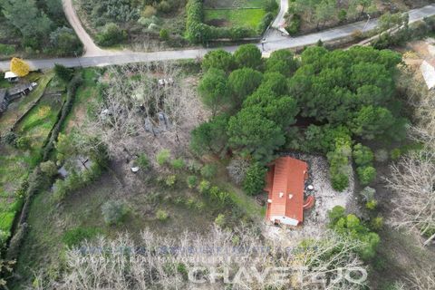 Villa i Tomar, Santarem, Tomar - € 395.000 | Ref: 565/25 - foto 24
