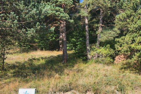 Terra a Alp, Gerona, Alp - € 110.000 | Ref: EXP12230/8930 - foto 6