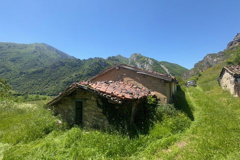 Landejendom i Aller, Asturias, Aller - € 19.500 | Ref: QPE003711/10606 - foto 4