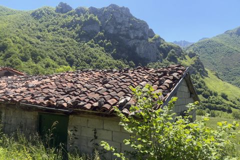 Landejendom i Aller, Asturias, Aller - € 19.500 | Ref: QPE003711/10606 - foto 19
