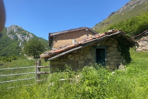 Landejendom i Aller, Asturias, Aller - € 19.500 | Ref: QPE003711/10606 - foto 22