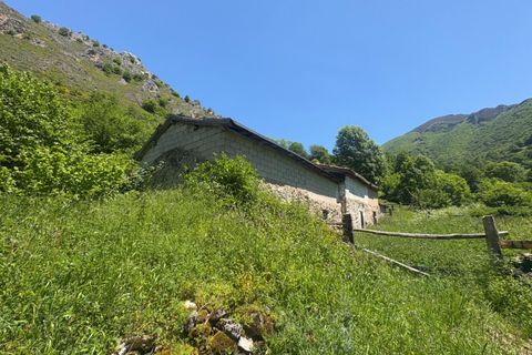 Landejendom i Aller, Asturias, Aller - € 19.500 | Ref: QPE003711/10606 - foto 23