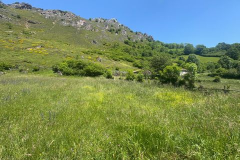 Landejendom i Aller, Asturias, Aller - € 19.500 | Ref: QPE003711/10606 - foto 25