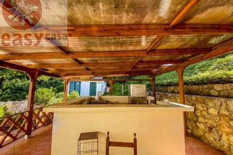 Landejendom i Camaiore, Lucca, Camaiore - € 1.450.000 | Ref: 1319 - foto 44