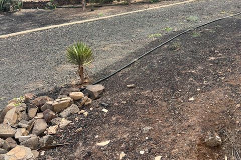 Bungalou a Pajara, Fuerteventura, Pajara - € 206.000 | Ref: VPTBGLP1AI21115 - foto 20
