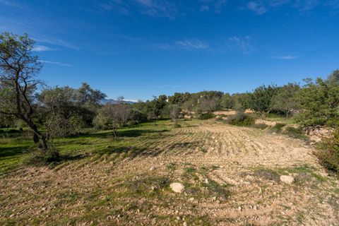 Villa a Tortosa, Tarragona, Tortosa - € 385.000 | Ref: 303 - foto 35