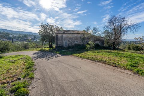 Villa a Tortosa, Tarragona, Tortosa - € 385.000 | Ref: 303 - foto 28