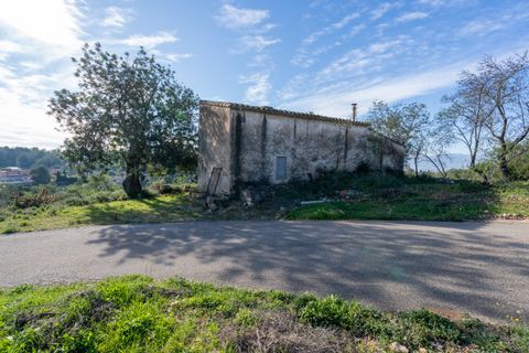 Villa a Tortosa, Tarragona, Tortosa - € 385.000 | Ref: 303 - foto 29
