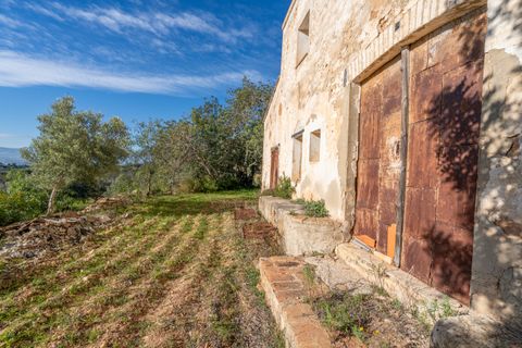 Villa a Tortosa, Tarragona, Tortosa - € 385.000 | Ref: 303 - foto 31