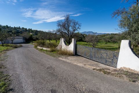Villa a Tortosa, Tarragona, Tortosa - € 385.000 | Ref: 303 - foto 33