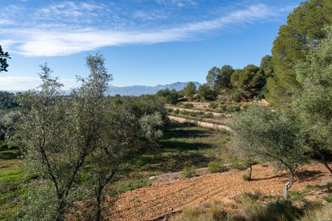 Villa a Tortosa, Tarragona, Tortosa - € 385.000 | Ref: 303 - foto 23