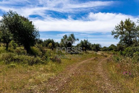 Helårsgrund i Borba, Evora, Borba - € 550.000 | Ref: 25.0006 - foto 5