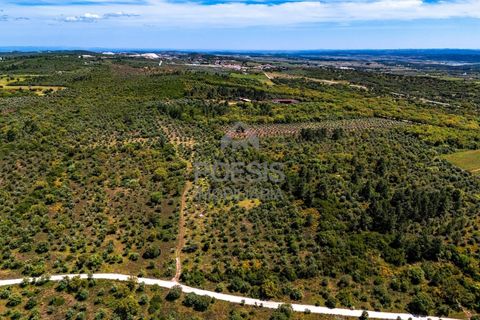 Helårsgrund i Borba, Evora, Borba - € 550.000 | Ref: 25.0006 - foto 7