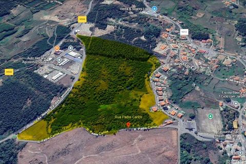 Helårsgrund i Penafiel, Porto, Penafiel - € 1.000.000 | Ref: 131758 - foto 1