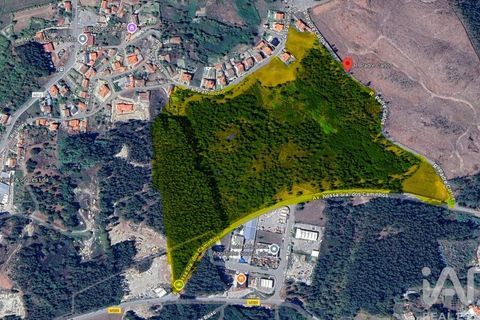 Helårsgrund i Penafiel, Porto, Penafiel - € 1.000.000 | Ref: 131758 - foto 2