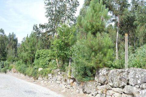 Helårsgrund i Penafiel, Porto, Penafiel - € 1.000.000 | Ref: 131758 - foto 4