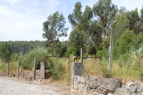 Helårsgrund i Penafiel, Porto, Penafiel - € 1.000.000 | Ref: 131758 - foto 5