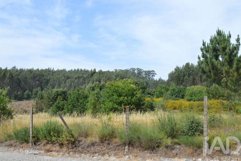 Helårsgrund i Penafiel, Porto, Penafiel - € 1.000.000 | Ref: 131758 - foto 6