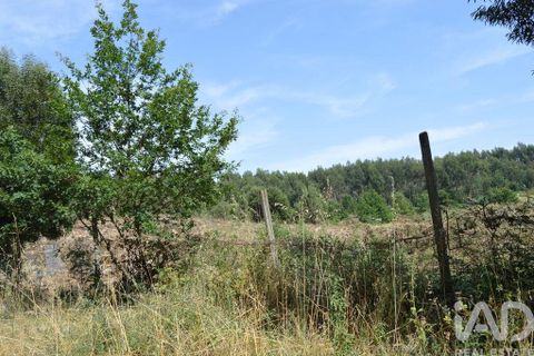 Helårsgrund i Penafiel, Porto, Penafiel - € 1.000.000 | Ref: 131758 - foto 8