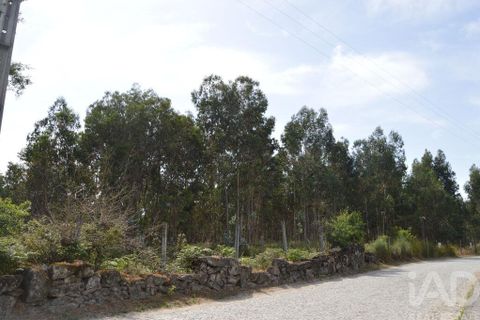 Helårsgrund i Penafiel, Porto, Penafiel - € 1.000.000 | Ref: 131758 - foto 12