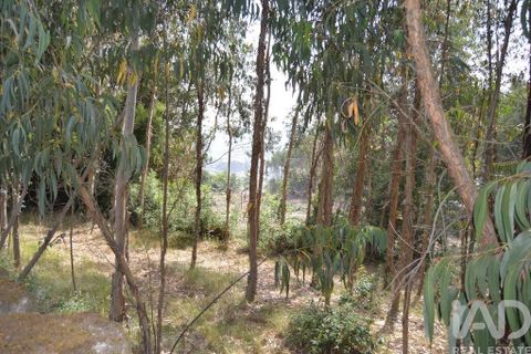 Helårsgrund i Penafiel, Porto, Penafiel - € 1.000.000 | Ref: 131758 - foto 13