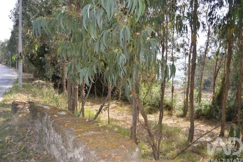 Helårsgrund i Penafiel, Porto, Penafiel - € 1.000.000 | Ref: 131758 - foto 14