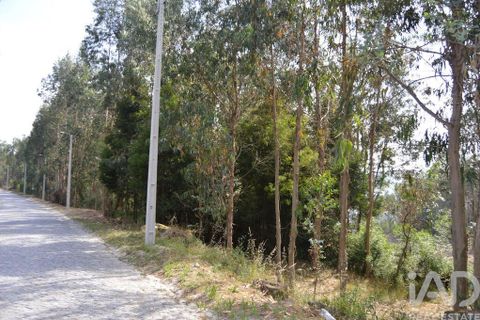 Helårsgrund i Penafiel, Porto, Penafiel - € 1.000.000 | Ref: 131758 - foto 15