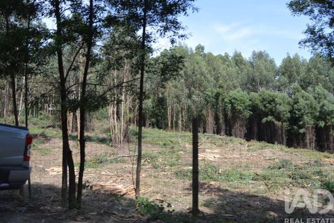 Helårsgrund i Penafiel, Porto, Penafiel - € 1.000.000 | Ref: 131758 - foto 16