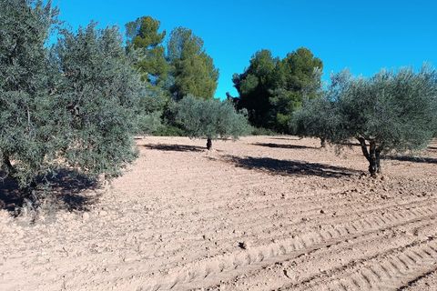 Masia a Yecla, Murcia, Yecla - € 75.000 | Ref: 41076-PB - foto 18