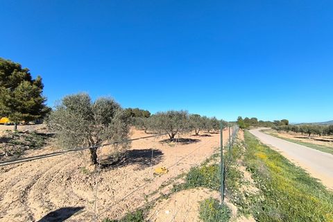 Masia a Yecla, Murcia, Yecla - € 75.000 | Ref: 41076-PB - foto 14