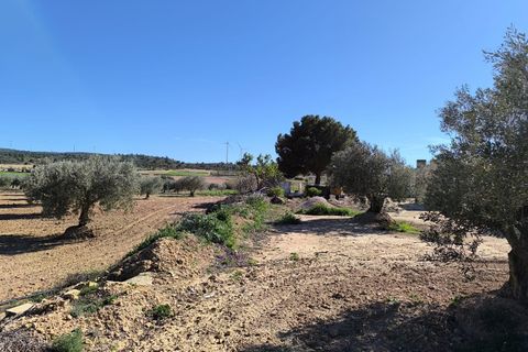 Masia a Yecla, Murcia, Yecla - € 75.000 | Ref: 41076-PB - foto 15