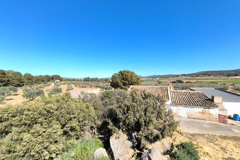 Masia a Yecla, Murcia, Yecla - € 75.000 | Ref: 41076-PB - foto 16