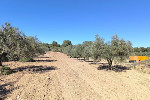 Masia a Yecla, Murcia, Yecla - € 75.000 | Ref: 41076-PB - foto 17