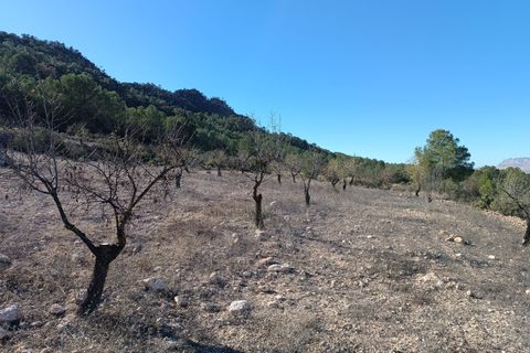 Landejendom i Yecla, Murcia, Yecla - € 120.000 | Ref: 41075-PB - foto 6