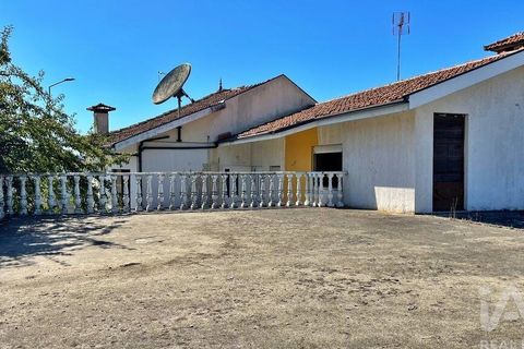 Byhus i Trofa, Porto, Trofa - € 248.000 | Ref: 723212 - foto 9
