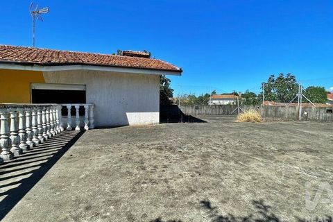 Byhus i Trofa, Porto, Trofa - € 248.000 | Ref: 723212 - foto 10