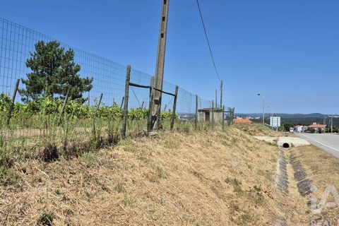 Terra a Leiria, Leiria, Leiria - € 188.000 | Ref: 145858 - foto 2