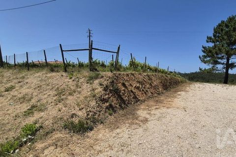 Terra a Leiria, Leiria, Leiria - € 188.000 | Ref: 145858 - foto 3