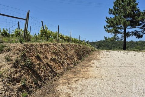 Terra a Leiria, Leiria, Leiria - € 188.000 | Ref: 145858 - foto 4