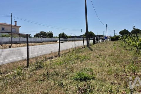Terra a Leiria, Leiria, Leiria - € 188.000 | Ref: 145858 - foto 5