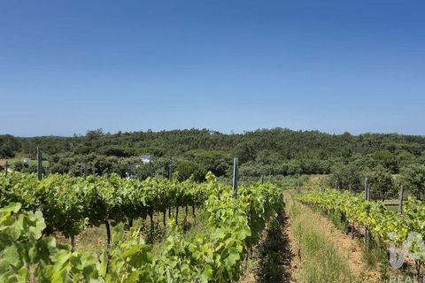 Terra a Leiria, Leiria, Leiria - € 188.000 | Ref: 145858 - foto 6