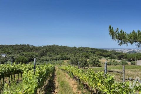 Terra a Leiria, Leiria, Leiria - € 188.000 | Ref: 145858 - foto 7