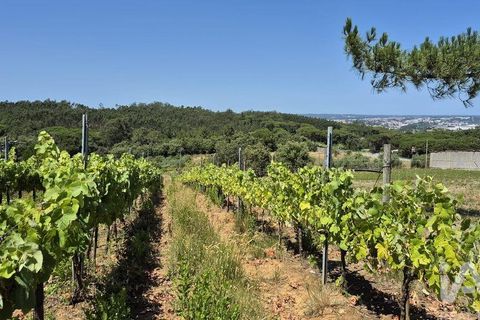 Terra a Leiria, Leiria, Leiria - € 188.000 | Ref: 145858 - foto 9