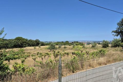 Terra a Leiria, Leiria, Leiria - € 188.000 | Ref: 145858 - foto 11