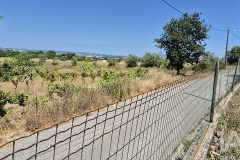 Terra a Leiria, Leiria, Leiria - € 188.000 | Ref: 145858 - foto 14
