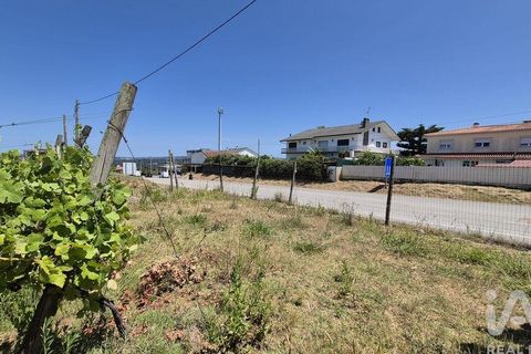 Terra a Leiria, Leiria, Leiria - € 188.000 | Ref: 145858 - foto 18