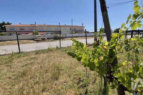 Terra a Leiria, Leiria, Leiria - € 188.000 | Ref: 145858 - foto 19