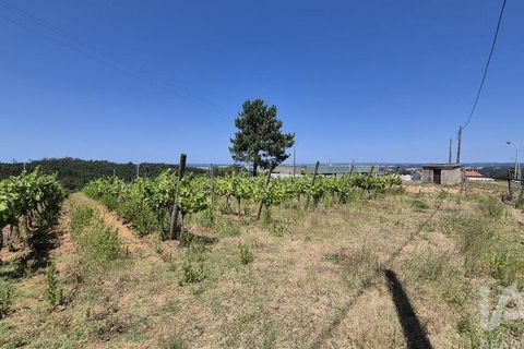 Terra a Leiria, Leiria, Leiria - € 188.000 | Ref: 145858 - foto 20