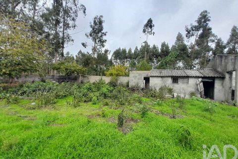 Helårsgrund i Cantanhede, Coimbra, Cantanhede - € 35.000 | Ref: 761609 - foto 2