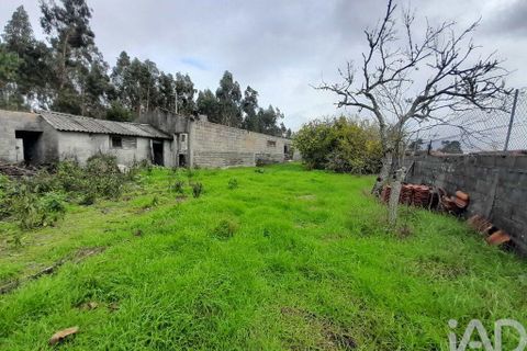 Helårsgrund i Cantanhede, Coimbra, Cantanhede - € 35.000 | Ref: 761609 - foto 3